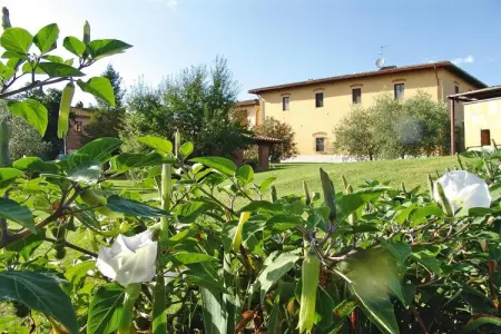 Agri-tourism Poggio al Sole Vinci Type Margherita-Margherita, Agritourisme Poggio al Sole, Vinci - Photo 19