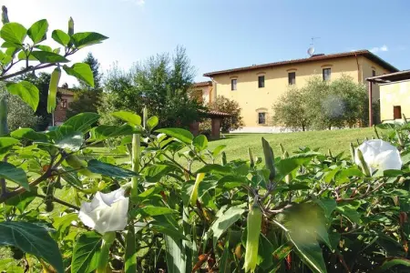 Agri-tourism Poggio al Sole Vinci Type Rosa di Bosco-Rosa di Bosco, Agritourisme Poggio al Sole, Vinci - Photo 7
