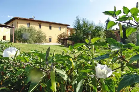 Agri-tourism Poggio al Sole Vinci Type Rosa di Bosco-Rosa di Bosco, Agritourisme Poggio al Sole, Vinci - Photo 15