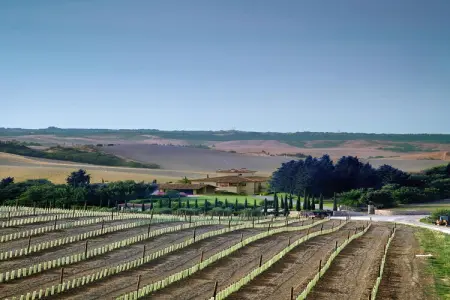 Ferienanlage Borgo della Meliana Gambassi Terme Typ Bilo, Appartement en Toscane avec piscine et golf - Photo 7