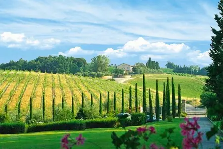 Ferienanlage Borgo della Meliana Gambassi Terme Typ Bilo, Appartement en Toscane avec piscine et golf - Photo 14