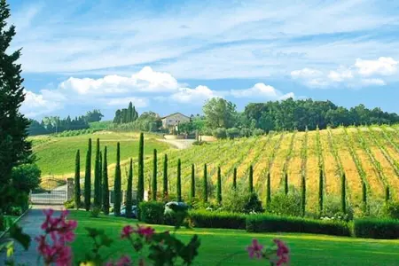 Ferienanlage Borgo della Meliana Gambassi Terme Typ Trilo Superior, Appartement en Toscane avec Golf et Piscines - Photo 11