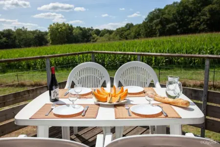 Residence Les Hameaux de la Chalosse Cassen // 3pcs 6 pers, Maison de vacances à la campagne avec piscine - Photo 54