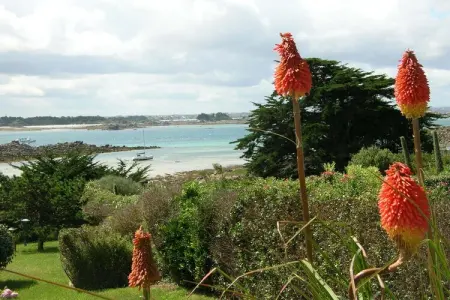 180° Panorama Meerblick Ferienwohnung Roscoff, Détendez-vous avec vue sur la mer chaque matin - Photo 20