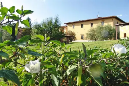 Agri-tourism Poggio al Sole Vinci Type Glicine Biancospino, Agritourisme Poggio al Sole, Vinci - Photo 2