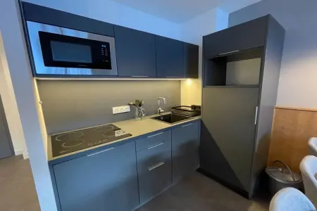 Les Écrins d'Auris, Chalet à Auris-en-Oisans avec Balcon - Photo 4