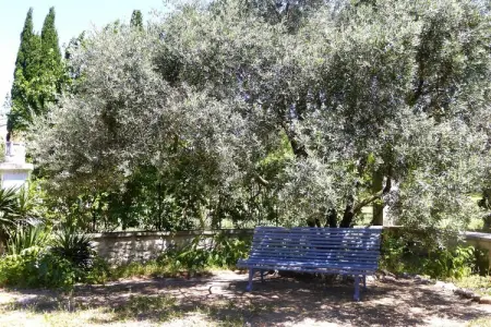 Reihenhaus in Monteux, Maison ensoleillée de Provence avec terrasse - Photo 25