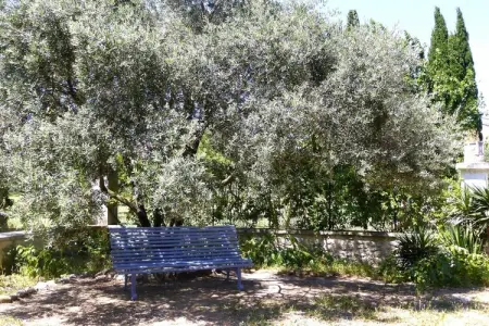Reihenhaus in Monteux, Maison ensoleillée de Provence avec terrasse - Photo 26