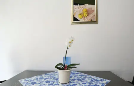 Appartement 4 personnes à Bibinje - Photo 21