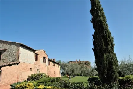 Cipressi, Appartement à Castelfiorentino avec Piscine - Photo 7