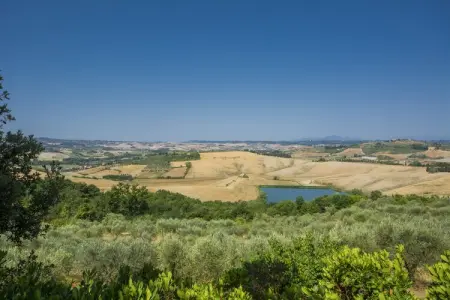 Cipressi, Appartement à Castelfiorentino avec Piscine - Photo 28