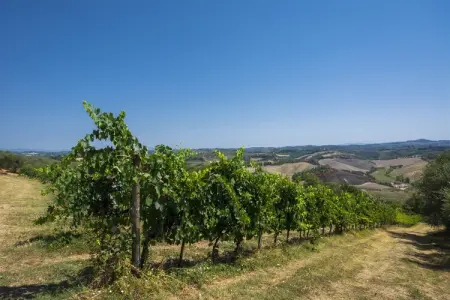 Fontana, Retraite tranquille au milieu de la Toscane - Photo 36