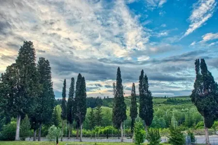 Fontana, Retraite tranquille au milieu de la Toscane - Photo 37