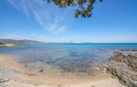 Trilo 6, Appartement 6 personnes à San Teodoro - Photo 6