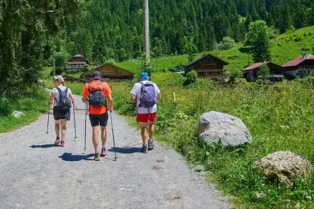App. 8p. sauna, Retraite alpine avec sauna - Photo 22