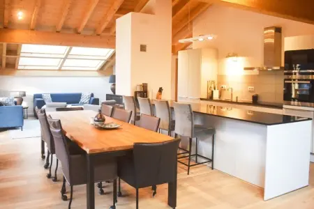 Penthouse 8p., Chalet dans les Alpes près du lac Léman - Photo 2