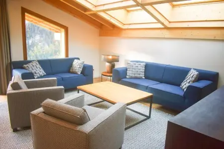 Penthouse 8p., Chalet dans les Alpes près du lac Léman - Photo 7
