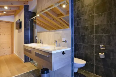 Penthouse 8p., Chalet dans les Alpes près du lac Léman - Photo 25