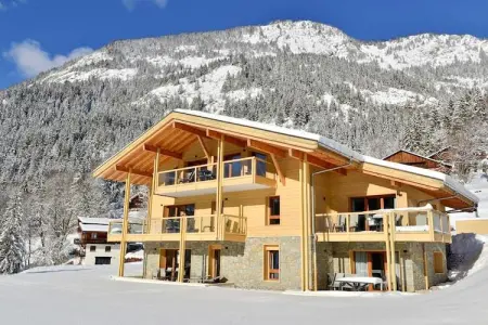 Penthouse 8p., Chalet dans les Alpes près du lac Léman - Photo 50