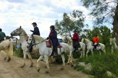 Ferienhäuschen in Bellegarde / La Pichoulino, Gîte à Bellegarde près de Camargue - Photo 22