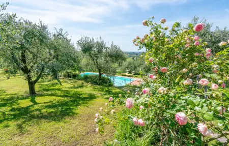 Villa Le Selve, Appartement 6 personnes à Lari - Photo 8
