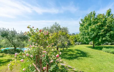Villa Le Selve, Appartement 6 personnes à Lari - Photo 17