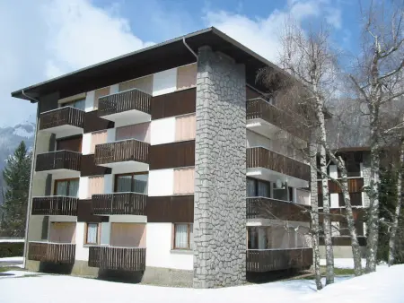 Appartement spacieux rénové 3 pièces, proche centre Morzine - Photo 9