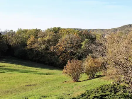 Charmant studio proche de Sarlat pour des vacances tranquilles - Photo 12