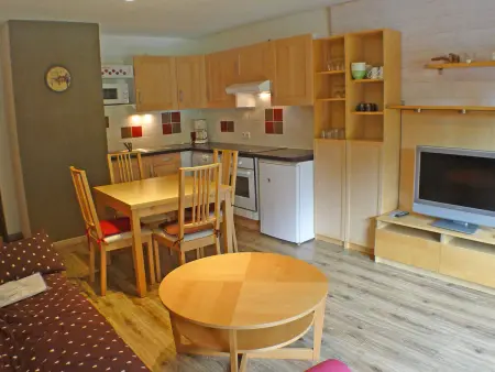 Grand studio à Samoëns, animaux admis, parking, proche télécabine - Photo 1