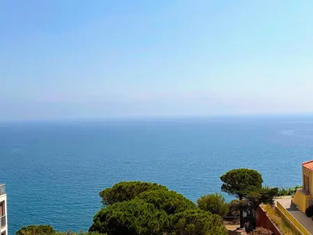 BANYULS-SUR-MER T2 avec vue mer, ascenseur et parking privatif - Photo 1