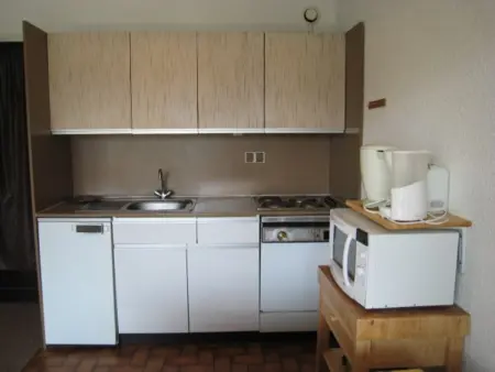 Studio cosy pour 4 pers, centre Alpe d'Huez, proche pistes, animaux OK, terrasse sud - Photo 4
