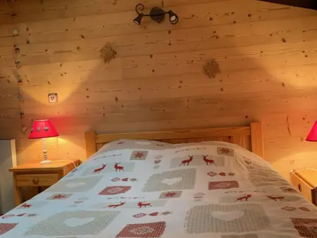 Appartement cosy 2 pièces, 5 pers, animaux admis, proche pistes - L'Alpe d'Huez - Photo 6