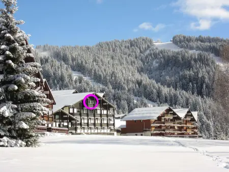 Bel appartement 2 pièces cabine, proche des pistes - Photo 11