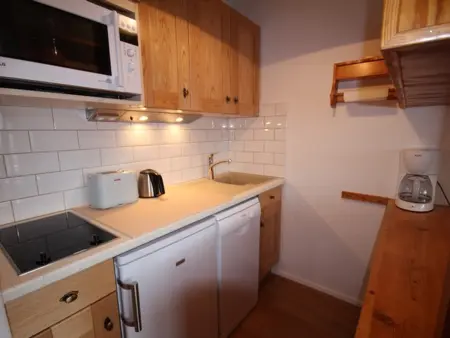 Bel appartement 2 pièces aux Saisies, animaux admis - Photo 1