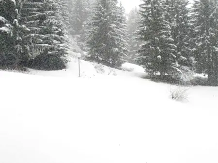 Studio skis aux pieds pour 5 pers, animaux admis à Arc 1800 - Photo 2