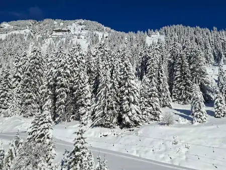Appartement lumineux 4 pièces à Flaine, 8 personnes, terrasse, accès spa - Photo 11