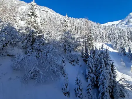 Studio spacieux pour 4 personnes, proche des pistes - Photo 9