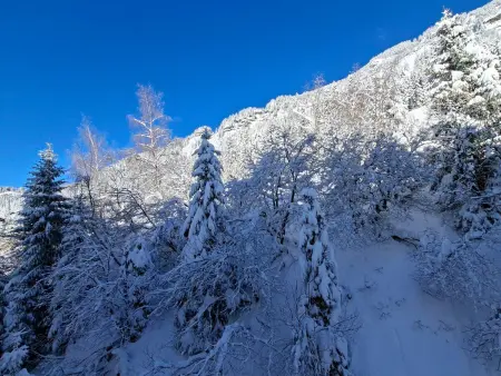 Studio spacieux pour 4 personnes, proche des pistes - Photo 11