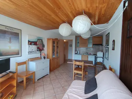 Appartement confort, proche pistes et commerces, animaux acceptés - Photo 2