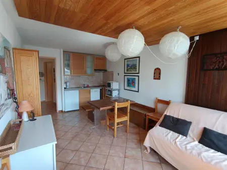 Appartement confort, proche pistes et commerces, animaux acceptés - Photo 3