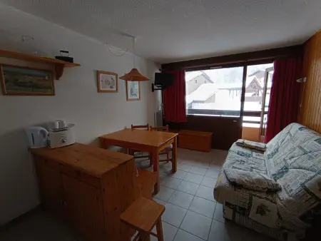 Grand studio ski aux pieds, lumineux et animaux acceptés - Photo 1