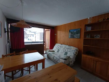 Grand studio ski aux pieds, lumineux et animaux acceptés - Photo 7