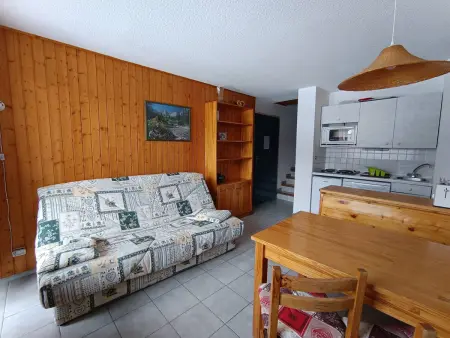Grand studio ski aux pieds, lumineux et animaux acceptés - Photo 8