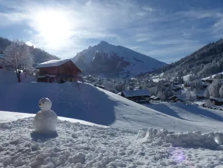 3 pièces, terrasse, parking à La Clusaz, Appartement 6 personnes à La Clusaz - Photo 11