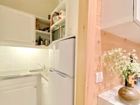 Appartement 1 chambre et mezzanine à Megève avec balcon et animaux admis - Photo 3