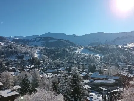Appartement 1 chambre et mezzanine à Megève avec balcon et animaux admis - Photo 8