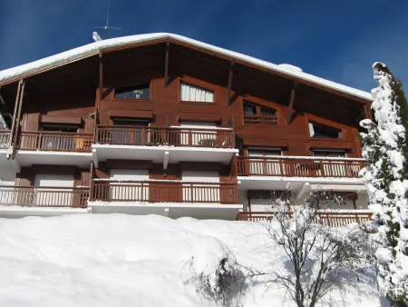 Appartement 1 chambre et mezzanine à Megève avec balcon et animaux admis - Photo 9