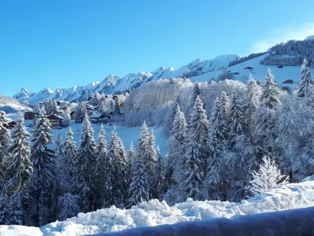 Appartement ski aux pieds, 2 chambres, terrasse et parking couvert - La Clusaz - Photo 11
