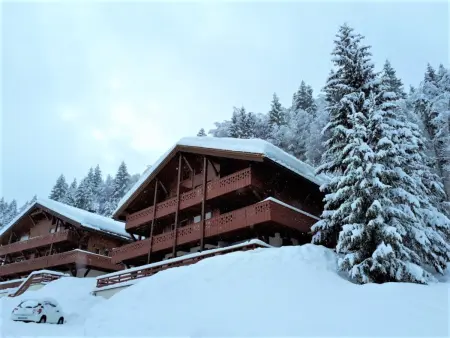 Appartement ski aux pieds, 2 chambres, terrasse et parking couvert - La Clusaz - Photo 12