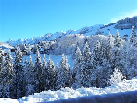 Appartement ski aux pieds, 2 chambres, terrasse et parking couvert - La Clusaz - Photo 13